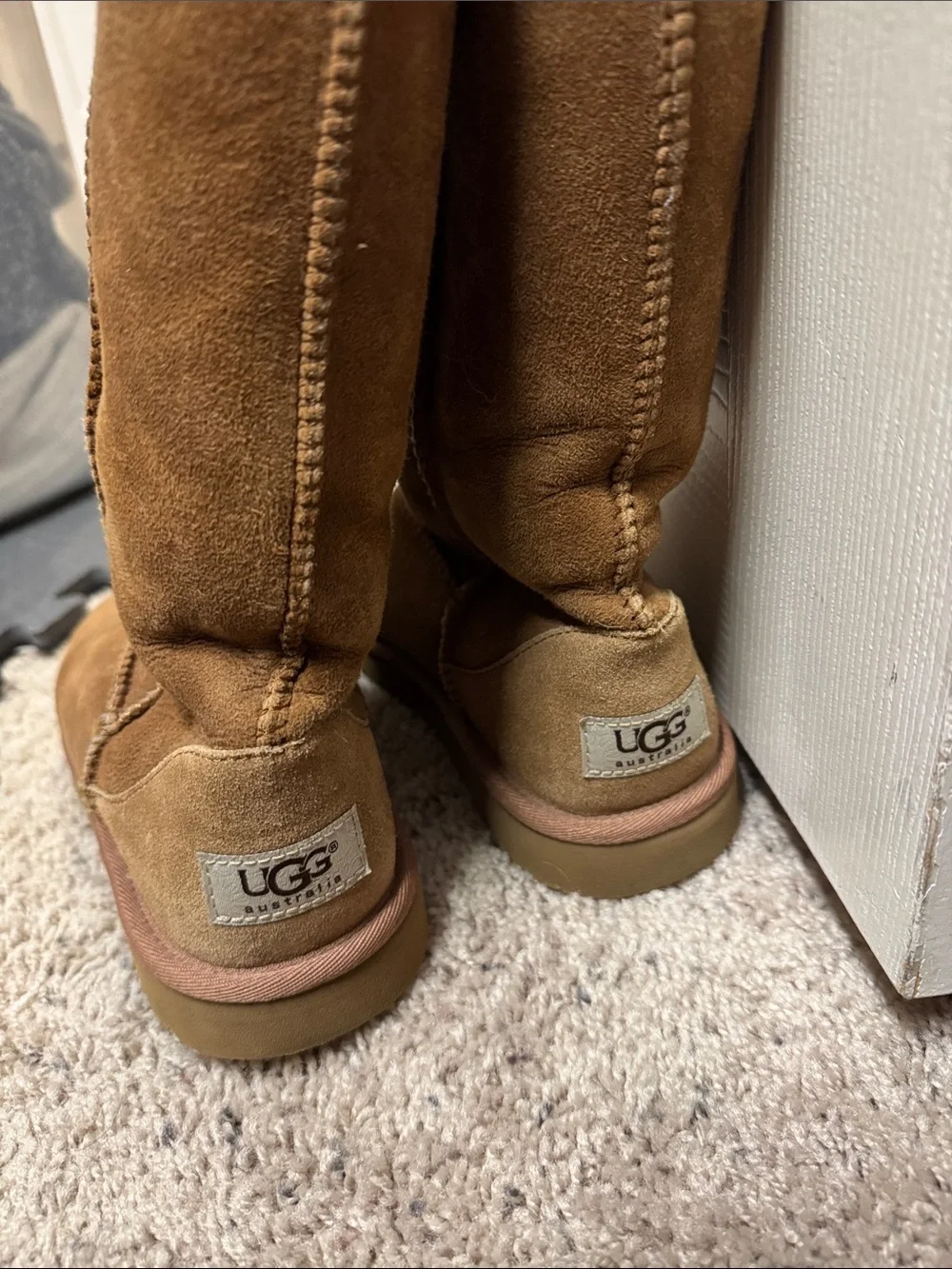 UGG Kids Chestnut Suede Mid-Calf Boots